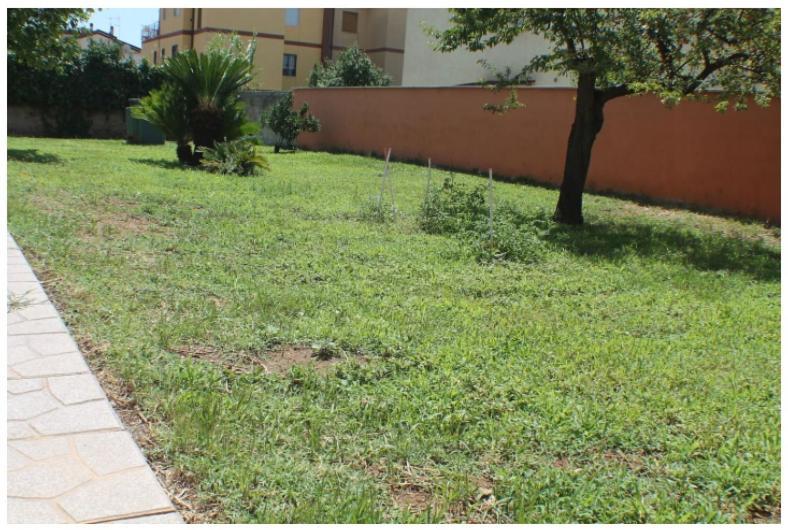 Accogliente Tra Mare E Citta Habitación en casa particular *